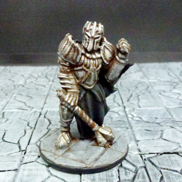 BM DCHAMP front painted