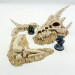 DA dragon full scale2