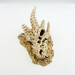 DA dragon skull painted