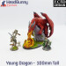 EC3D YoungDragon Cover 23