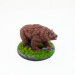 EC3D bears bear2