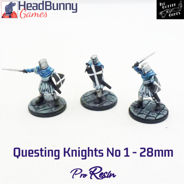 IGG questing knights 1 28mm Cover v2