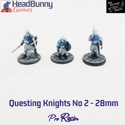 IGG questing knights 2 28mm Cover