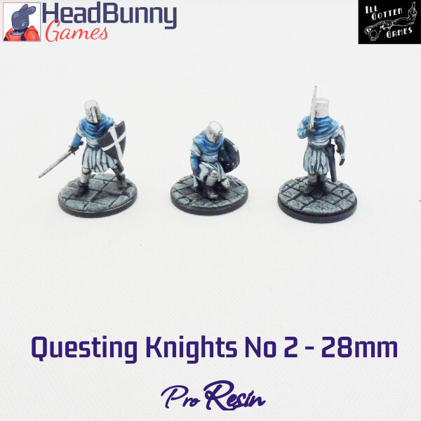 IGG questing knights 2 28mm Cover